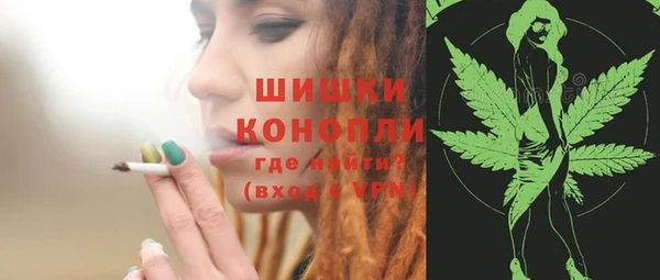 шишки Михайловск