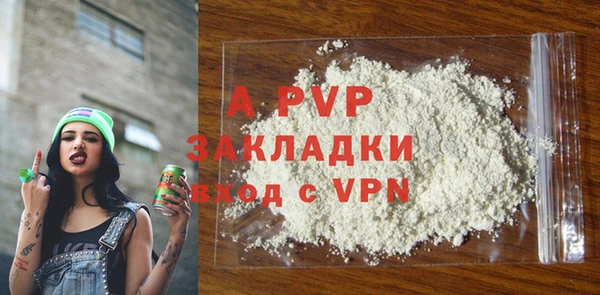 шишки Михайловск