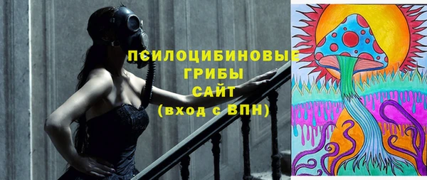 ПСИЛОЦИБИНОВЫЕ ГРИБЫ Мегион